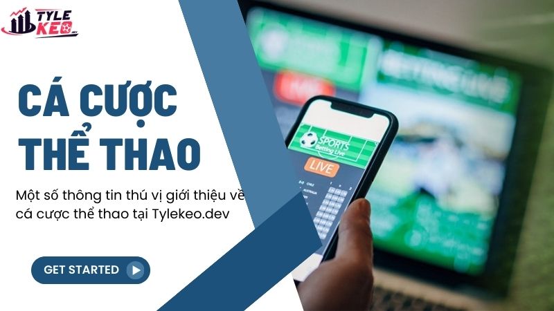 Một số thông tin thú vị giới thiệu về cá cược thể thao tại cricketworldcup2015.org